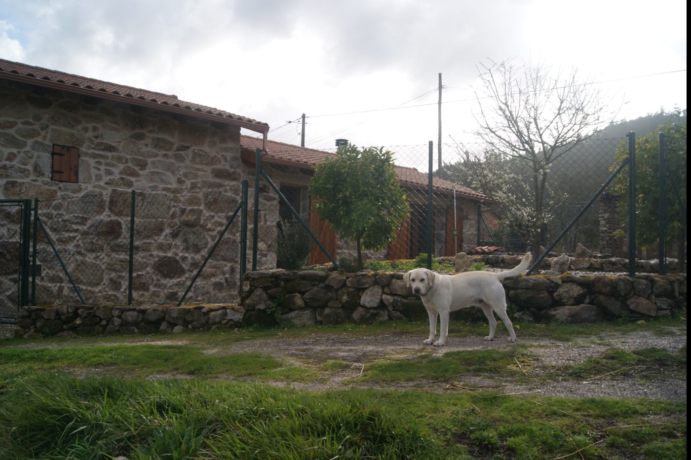 Casa da Miranda, escapadas románticas o en familia en A Cañiza