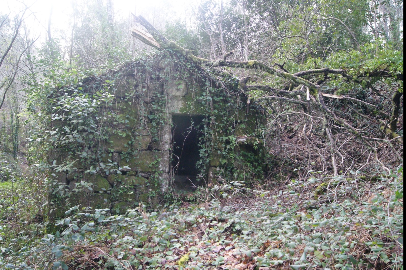 Casa da Miranda, escapadas románticas o en familia in A Cañiza