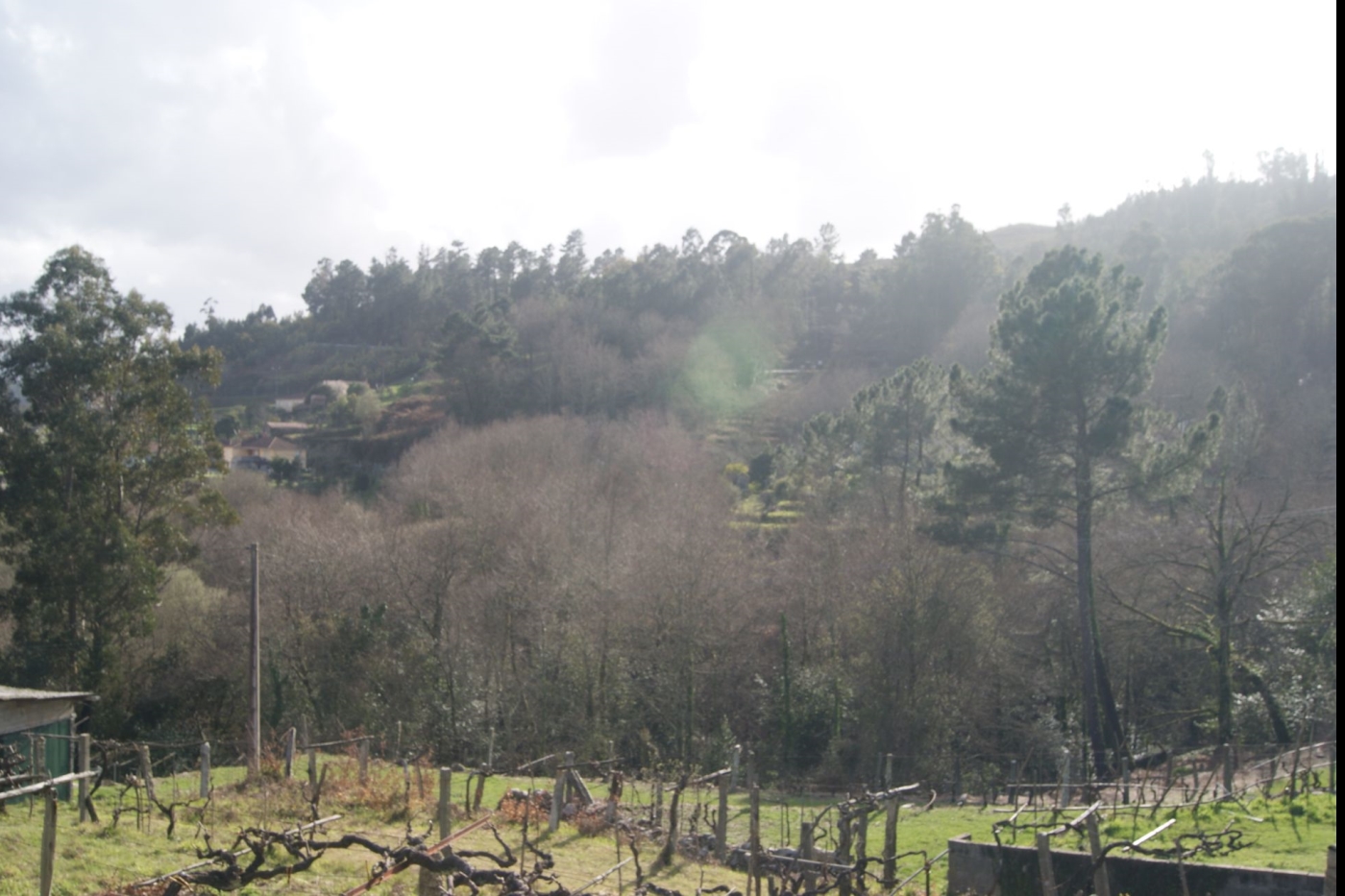 Casa da Miranda, escapadas románticas o en familia en A Cañiza