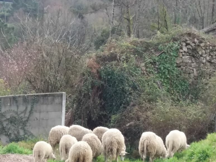 Casa da Miranda, escapadas románticas o en familia en A Cañiza