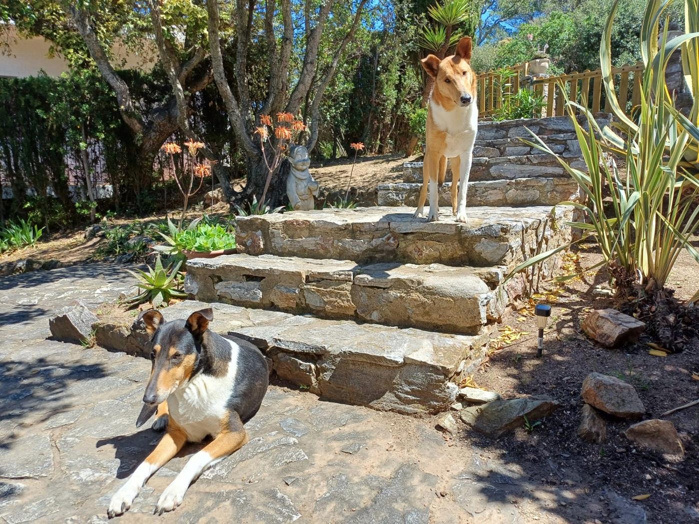 Casa La Coma (Sa Riera) .en Begur