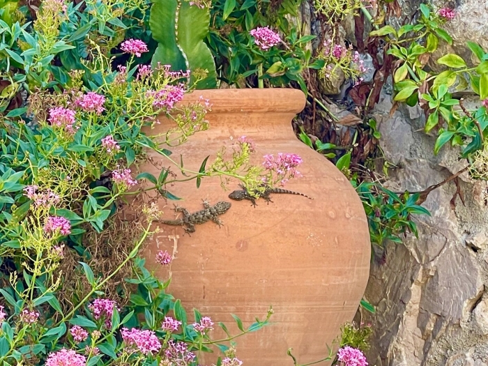 Hébergement · Begur · 3 chambres · 4 lits · 2 salles de bain et 1 toilette à Begur