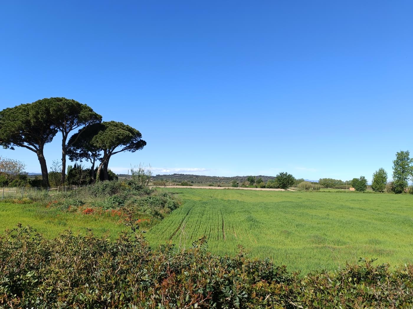 Golf Empordà House Gualta in Gualta