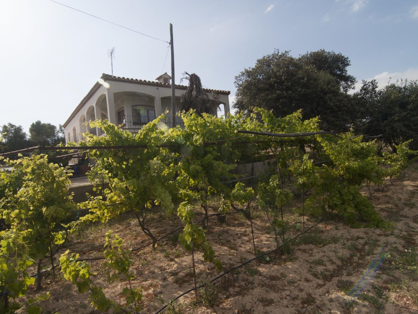 Casa Casimiro en l'Escala