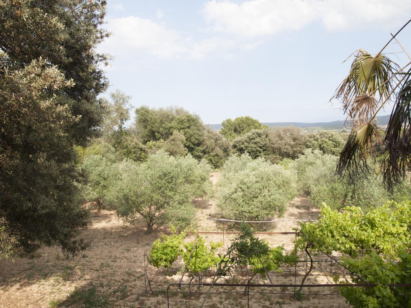 Casa Casimiro en l'Escala