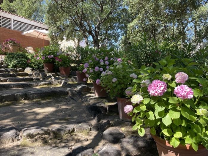 apartamentos ATA associacio Girona