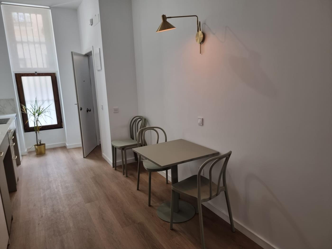 spectacular-apartment-with-all-the-amenities-en-valencia