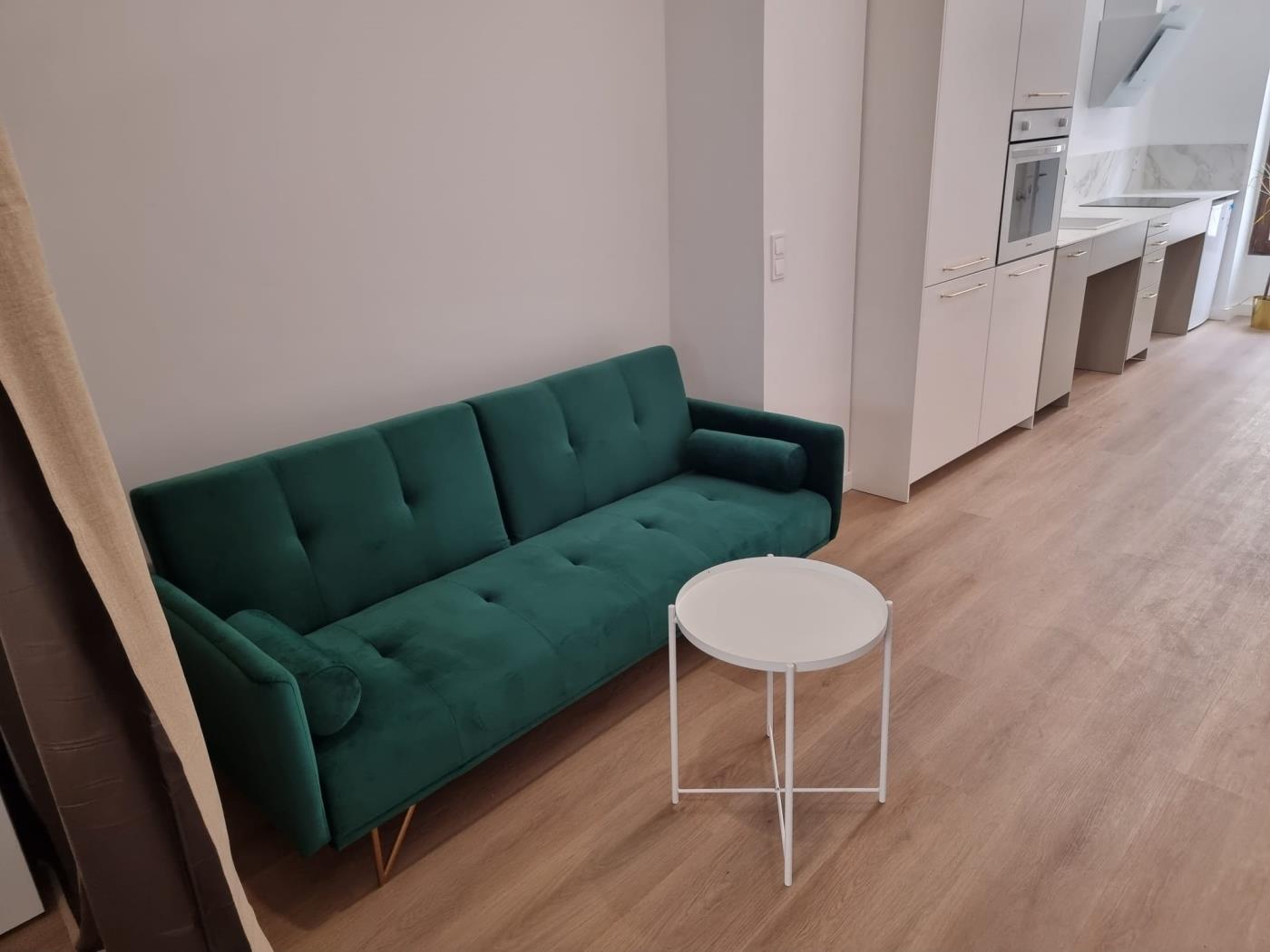 spectacular-apartment-with-all-the-amenities-en-valencia