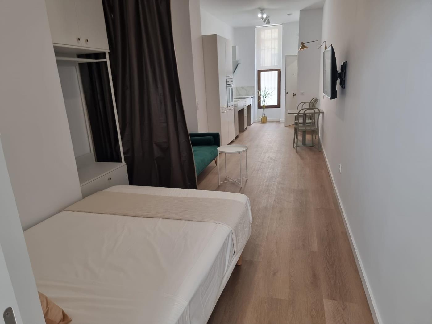 spectacular-apartment-with-all-the-amenities-en-valencia