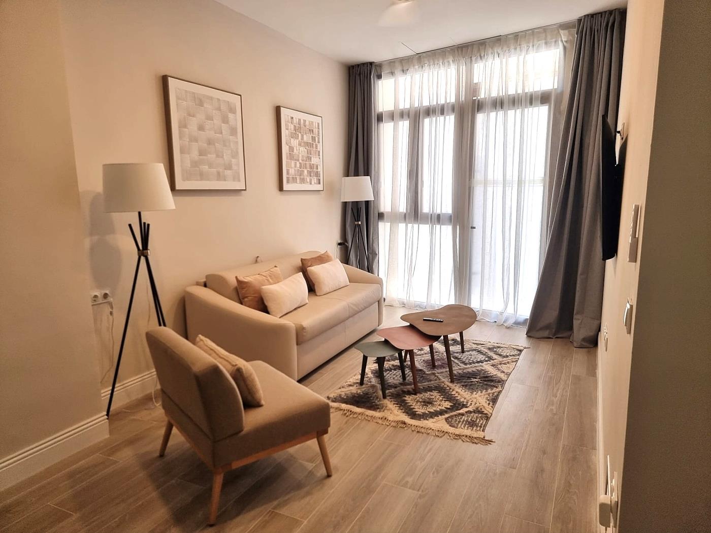 beautiful-ground-floor-apartment-next-to-the-pont-de-fusta-en-valencia