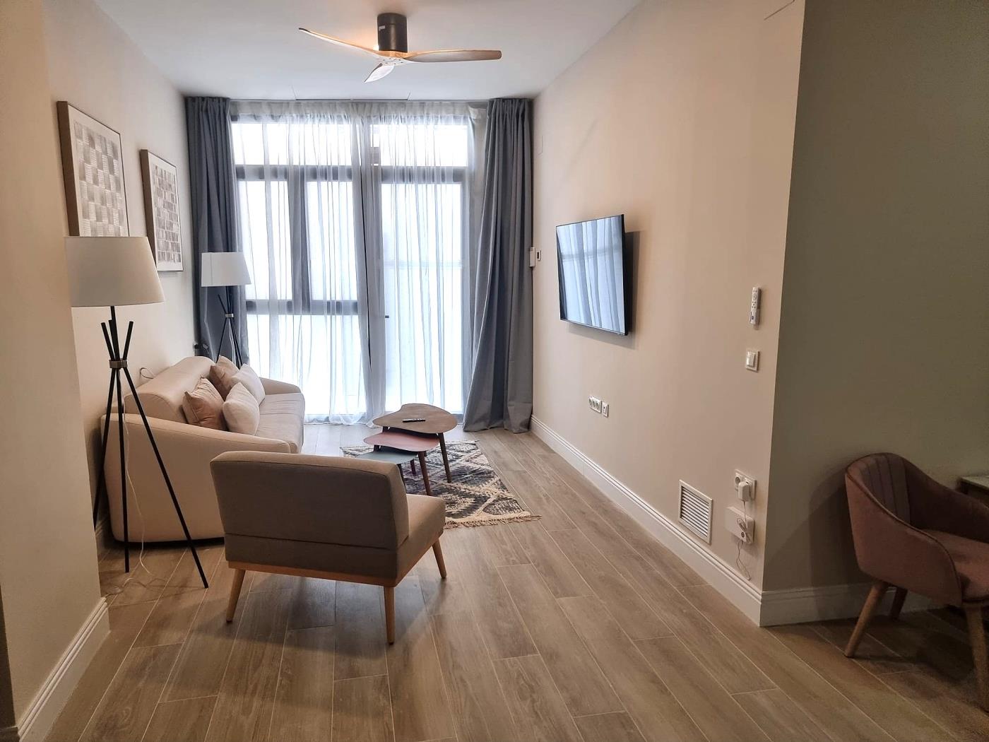 beautiful-ground-floor-apartment-next-to-the-pont-de-fusta-en-valencia
