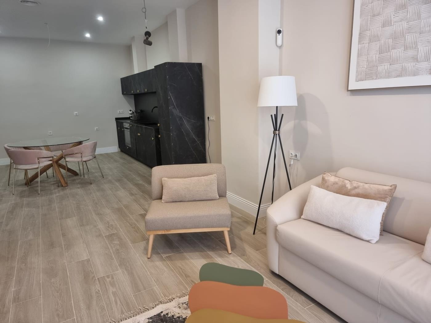 beautiful-ground-floor-apartment-next-to-the-pont-de-fusta-en-valencia