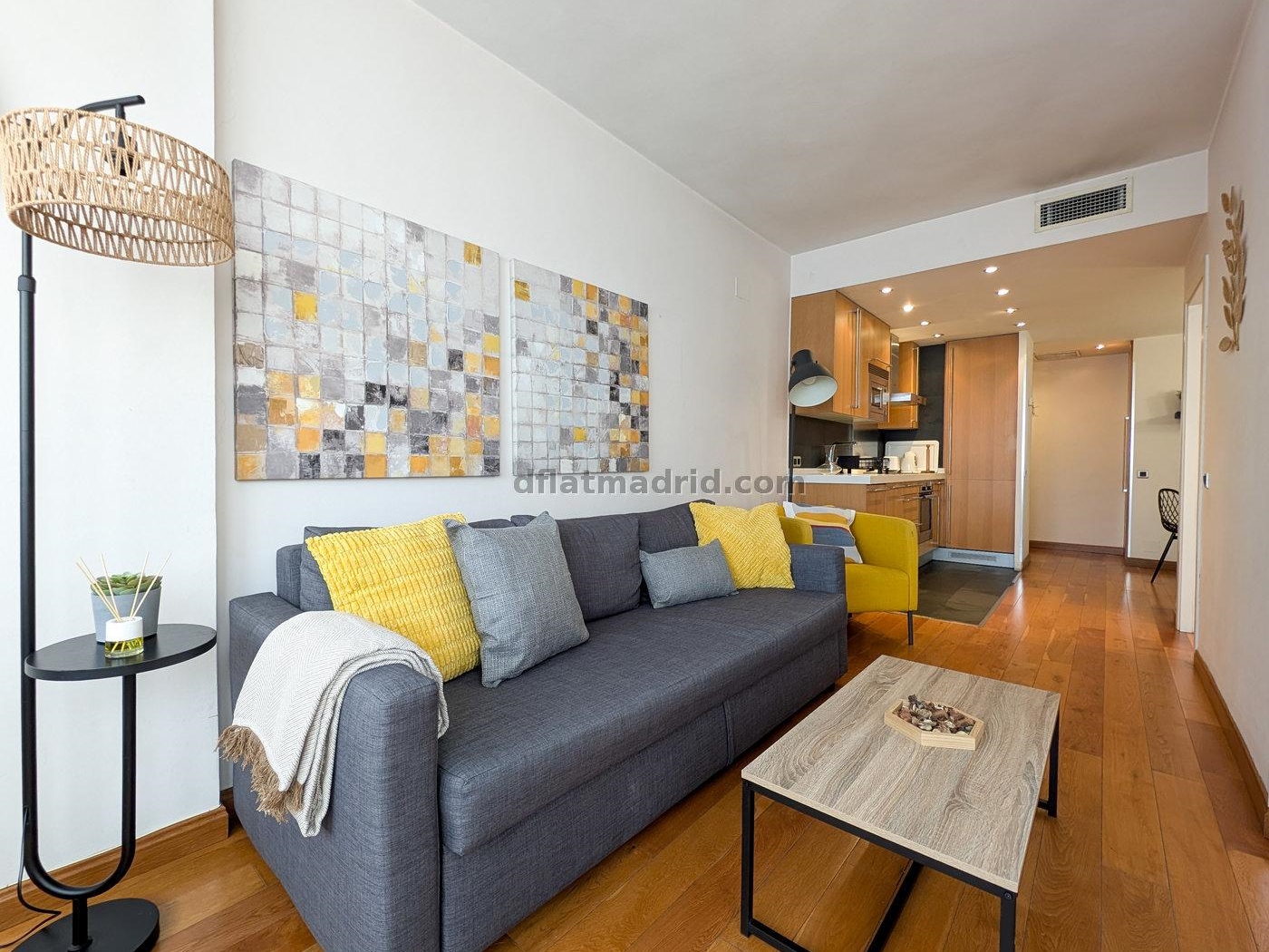 Apartamento exterior cerca de Serrano totalmente amueblado #209 en Madrid
