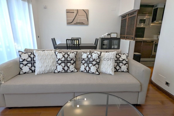 Exterior apartment next to Castellana with terrace #211 in Madrid