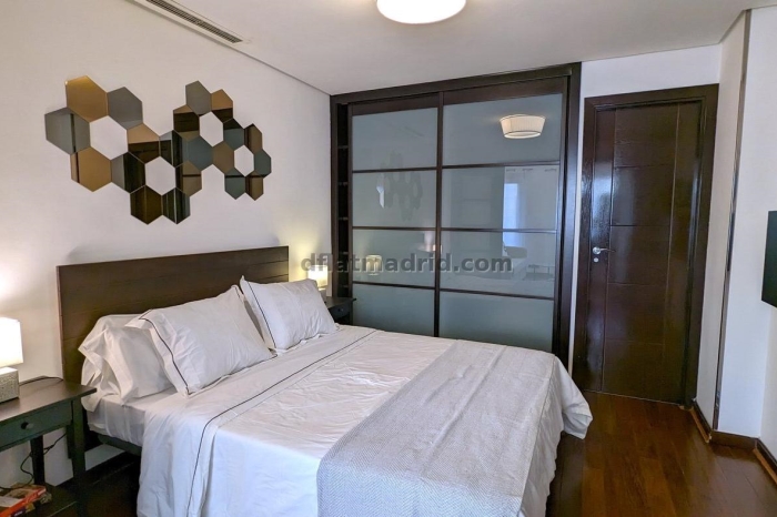 Exterior apartment next to Castellana with terrace #211 in Madrid