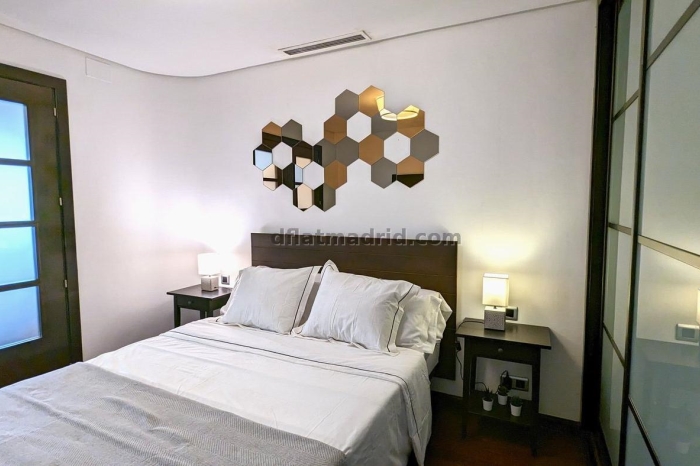Exterior apartment next to Castellana with terrace #211 in Madrid