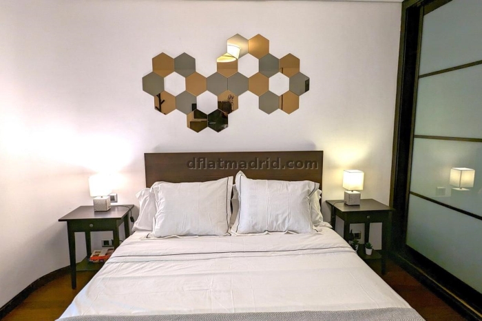 Exterior apartment next to Castellana with terrace #211 in Madrid