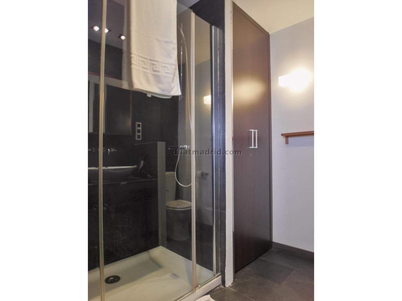 Apartamento exterior cerca de la Castellana con terraza #211 en Madrid