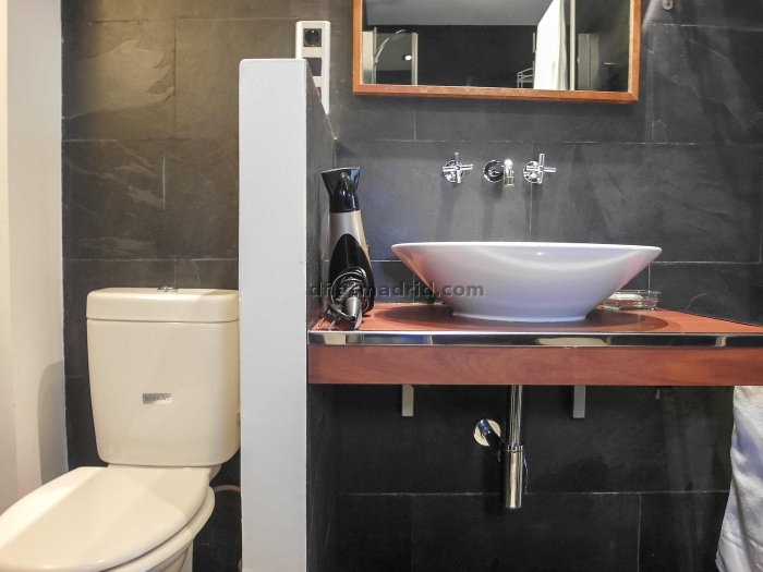 Exterior apartment next to Castellana with terrace #211 in Madrid