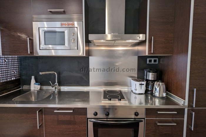 Exterior apartment next to Castellana with terrace #211 in Madrid