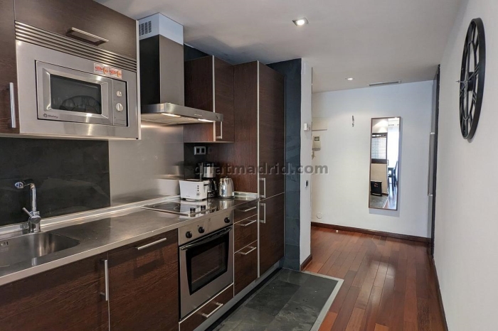 Exterior apartment next to Castellana with terrace #211 in Madrid