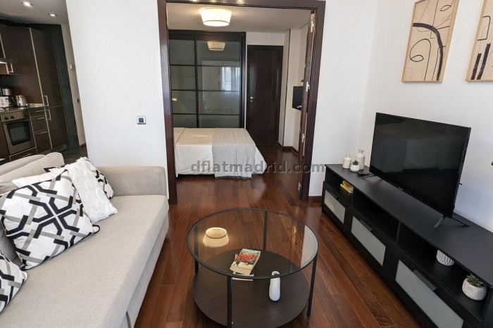 Exterior apartment next to Castellana with terrace #211 in Madrid