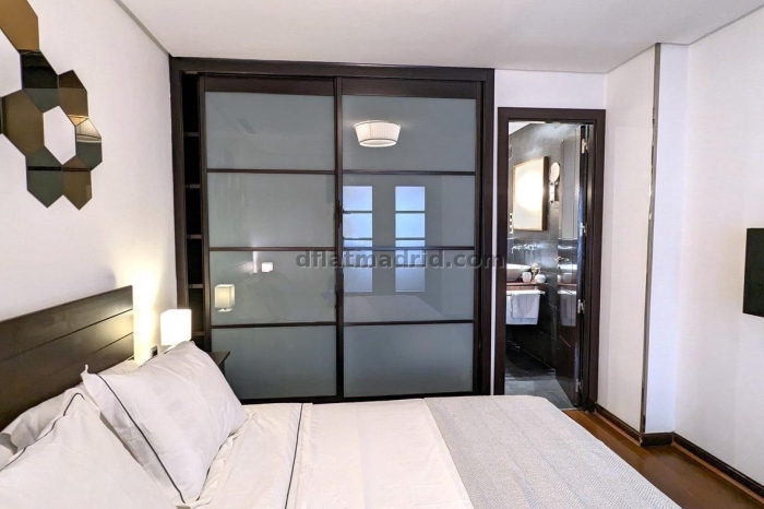 Exterior apartment next to Castellana with terrace #211 in Madrid