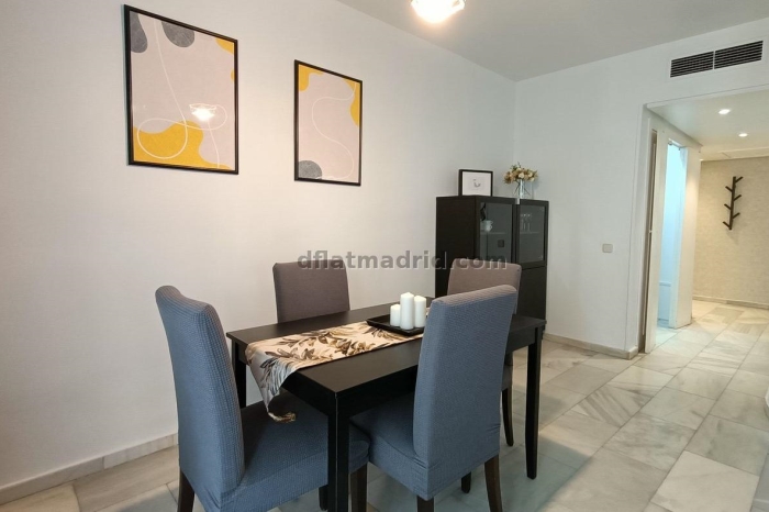 Exterior apartment next to Serrano with terrace #227 in Madrid