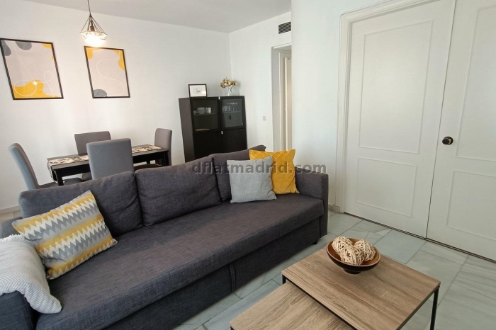 Exterior apartment next to Serrano with terrace #227 in Madrid