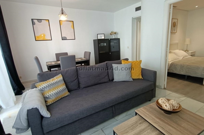 Exterior apartment next to Serrano with terrace #227 in Madrid