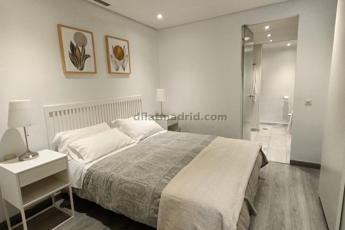 Exterior apartment next to Serrano with terrace #227 in Madrid