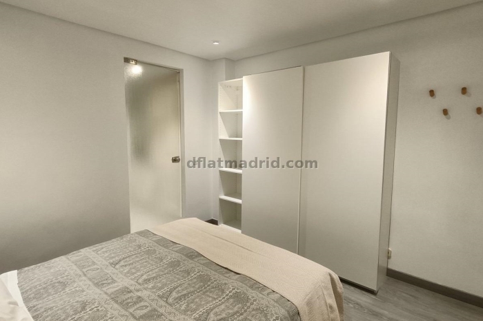 Exterior apartment next to Serrano with terrace #227 in Madrid