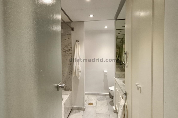 Exterior apartment next to Serrano with terrace #227 in Madrid