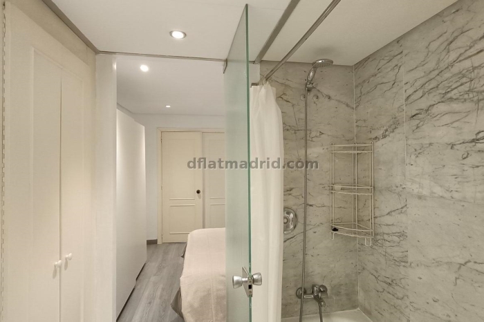 Exterior apartment next to Serrano with terrace #227 in Madrid