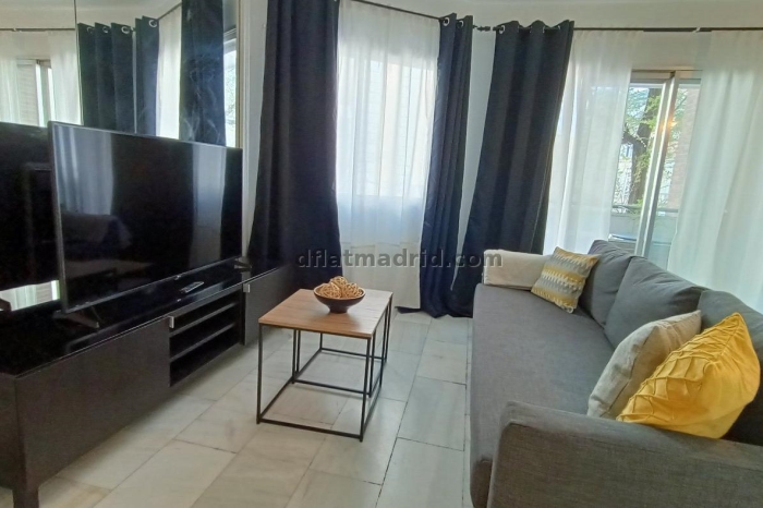 Exterior apartment next to Serrano with terrace #227 in Madrid