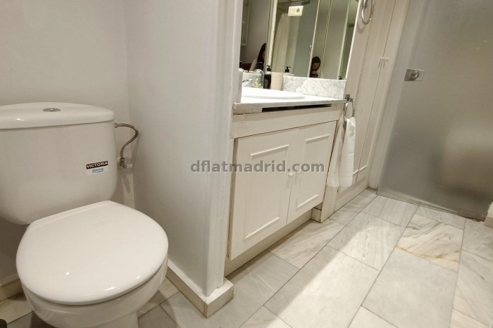 Exterior apartment next to Serrano with terrace #227 in Madrid