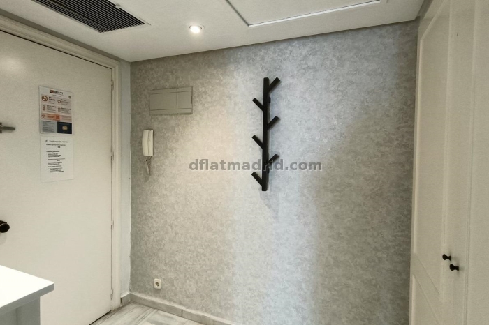 Exterior apartment next to Serrano with terrace #227 in Madrid