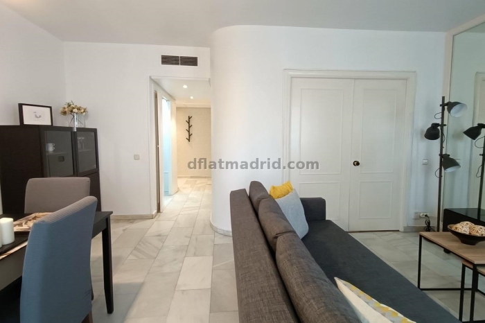 Exterior apartment next to Serrano with terrace #227 in Madrid