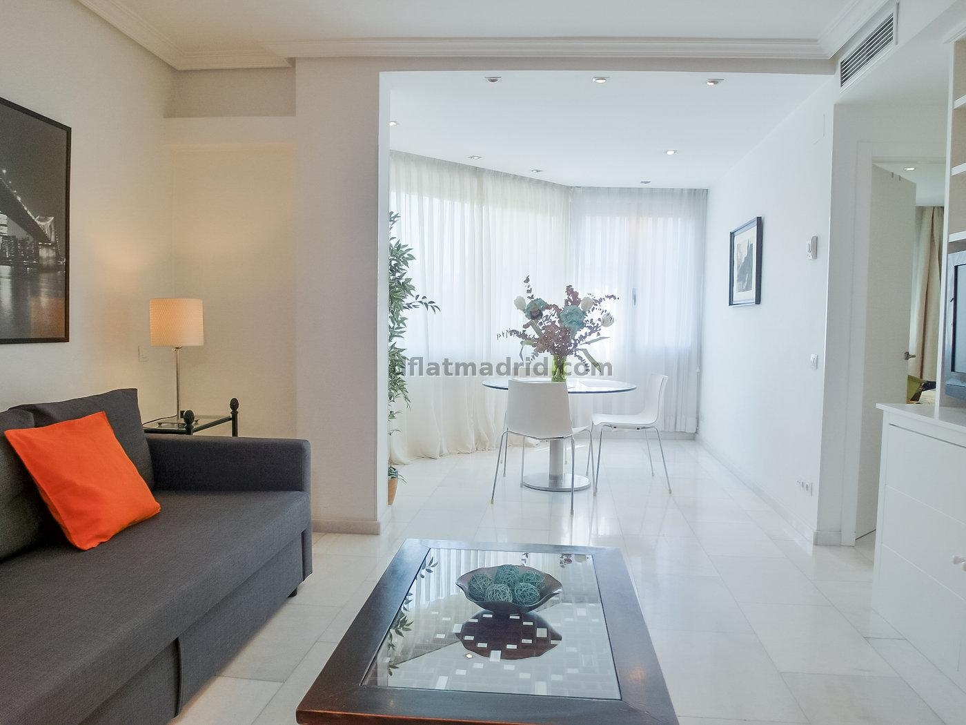 Apartamento exterior cerca de la Castellana con vistas #235 en Madrid