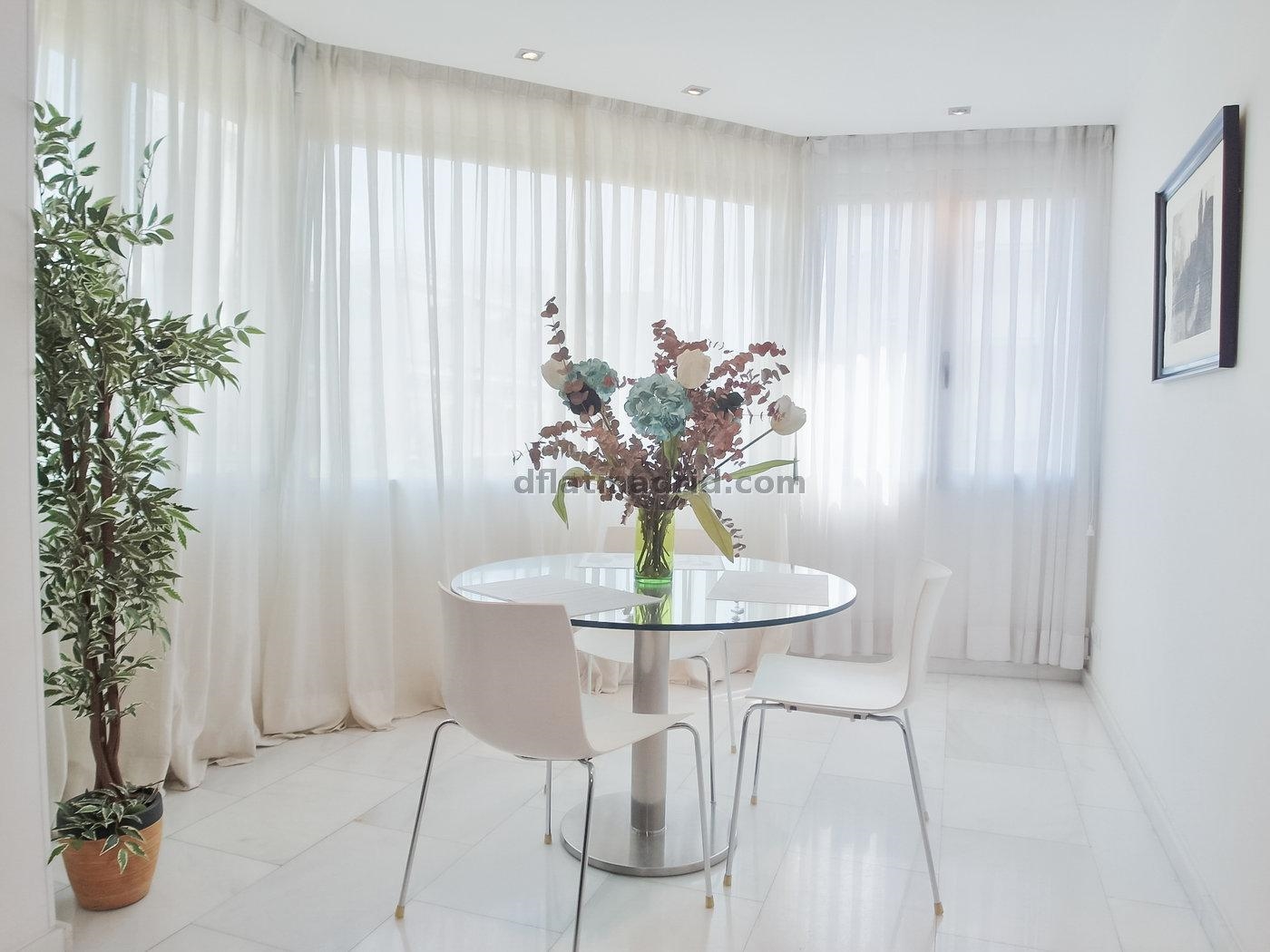 Apartamento exterior cerca de la Castellana con vistas #235 en Madrid