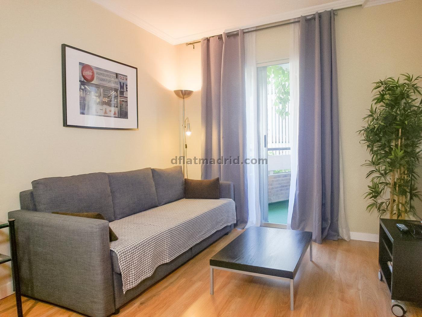 Exterior apartment next to Serrano well communicated #236 in Madrid