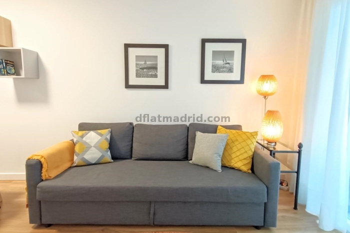 Exterior apartment next to Serrano well communicated #236 in Madrid