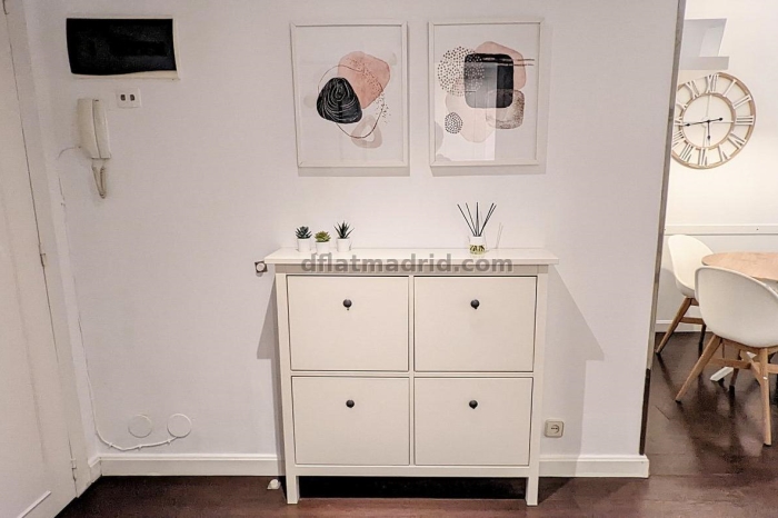 Exterior apartment in Almagro with terrace #238 in Madrid