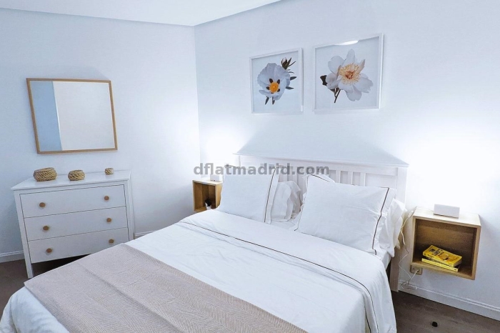 Exterior apartment in Almagro with terrace #238 in Madrid