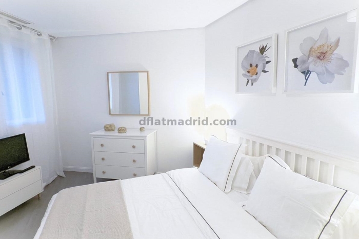Exterior apartment in Almagro with terrace #238 in Madrid