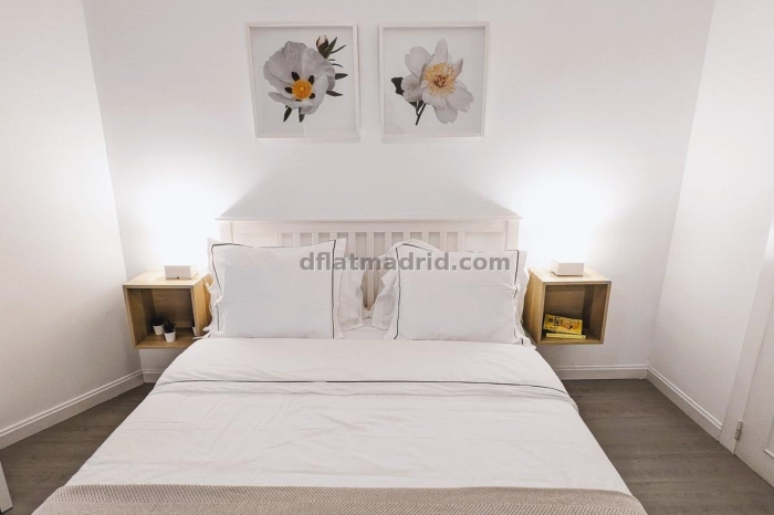 Exterior apartment in Almagro with terrace #238 in Madrid