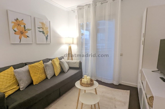 Exterior apartment in Almagro with terrace #238 in Madrid