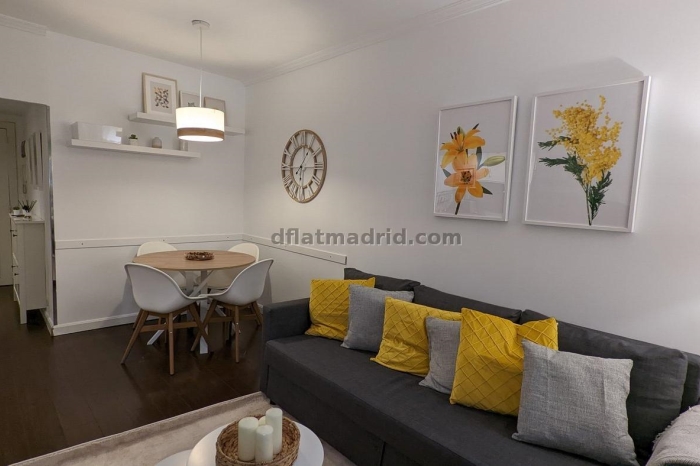 Exterior apartment in Almagro with terrace #238 in Madrid