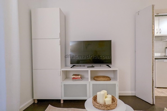 Exterior apartment in Almagro with terrace #238 in Madrid