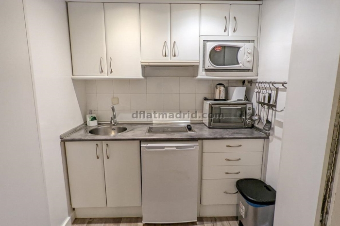 Exterior apartment in Almagro with terrace #238 in Madrid